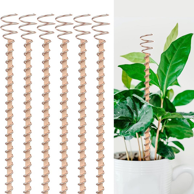 Bonsai Garden Accessories - Bonsai Copper Electroculture Plant Stakes Wire