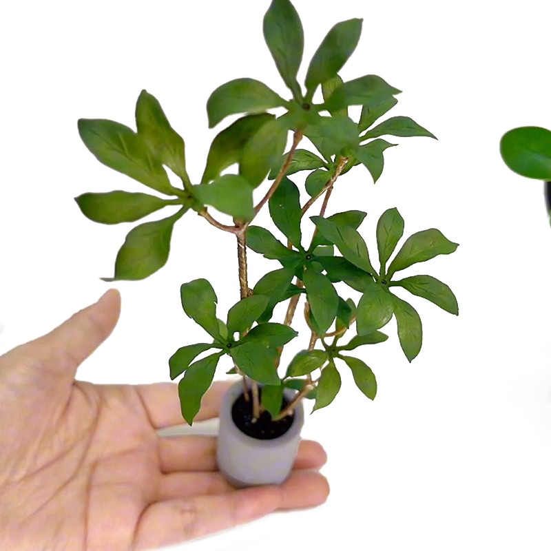 1:6 Dollhouse Miniature Potted - Bonsai Garden Accessories 评论和价格