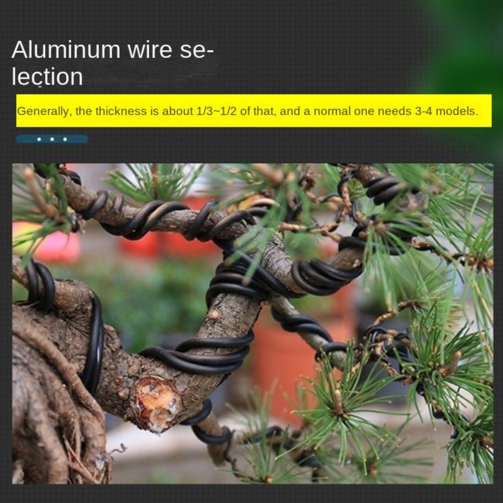 Aluminum Bonsai Wire Garden Bo - Bonsai Wire Aluminum 评论和价格