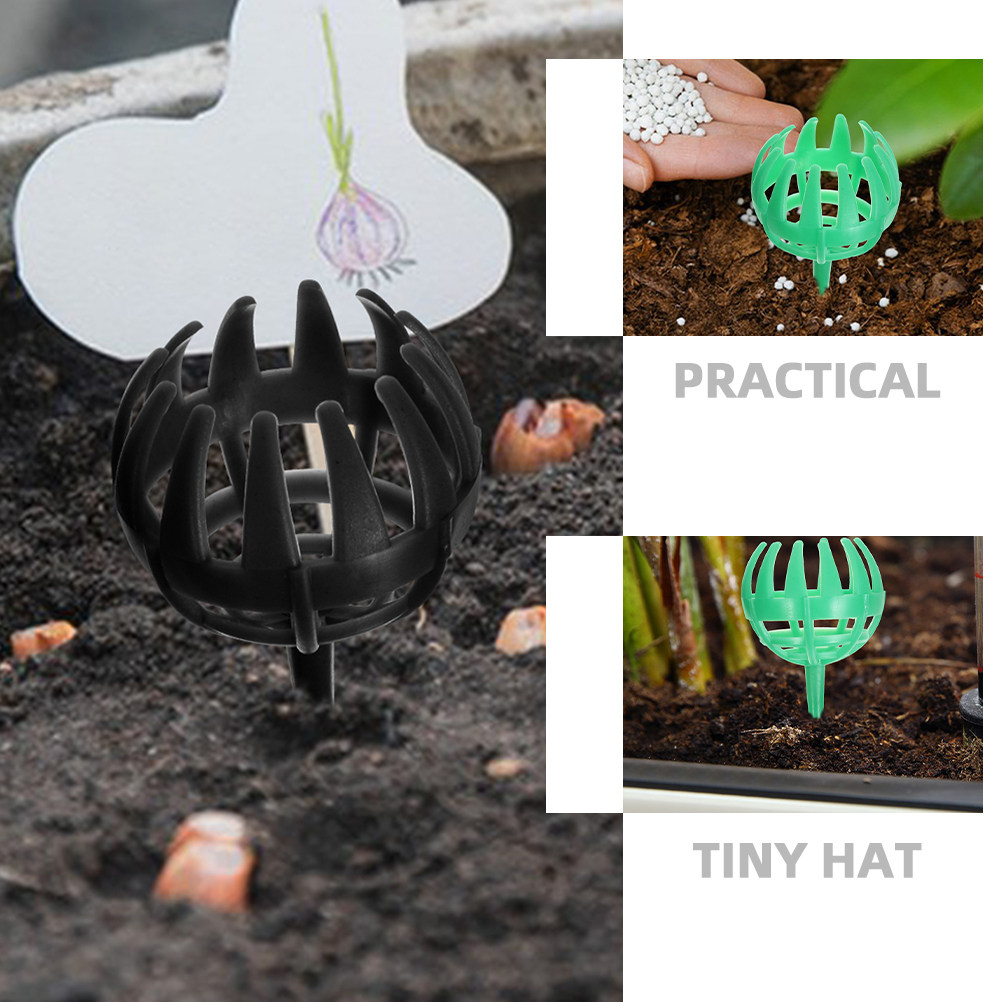 10Pcs Fertilizer Boxes Reusabl - Us Bonsai Garden 评论和价格