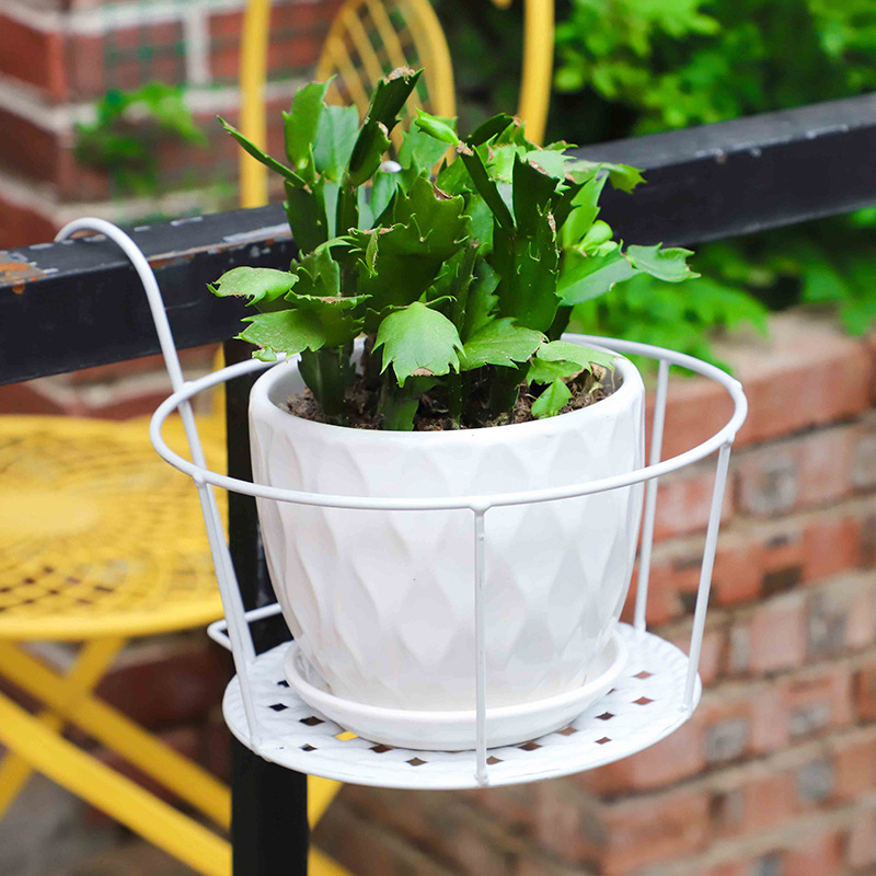 1PC Gardening Pots Outdoor Win - Bonsai Garden Art 评论和价格
