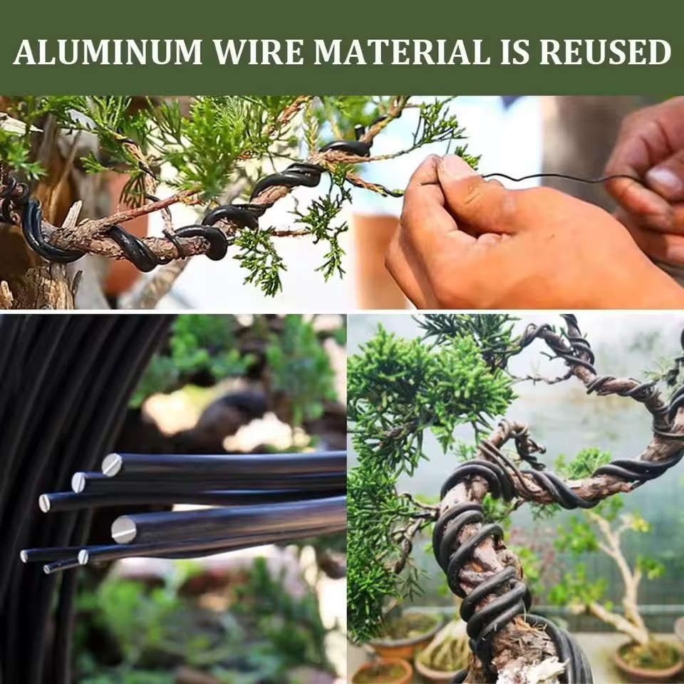 for Plant Shaping Garden Acces - Bonsai Wire Aluminum 评论和价格