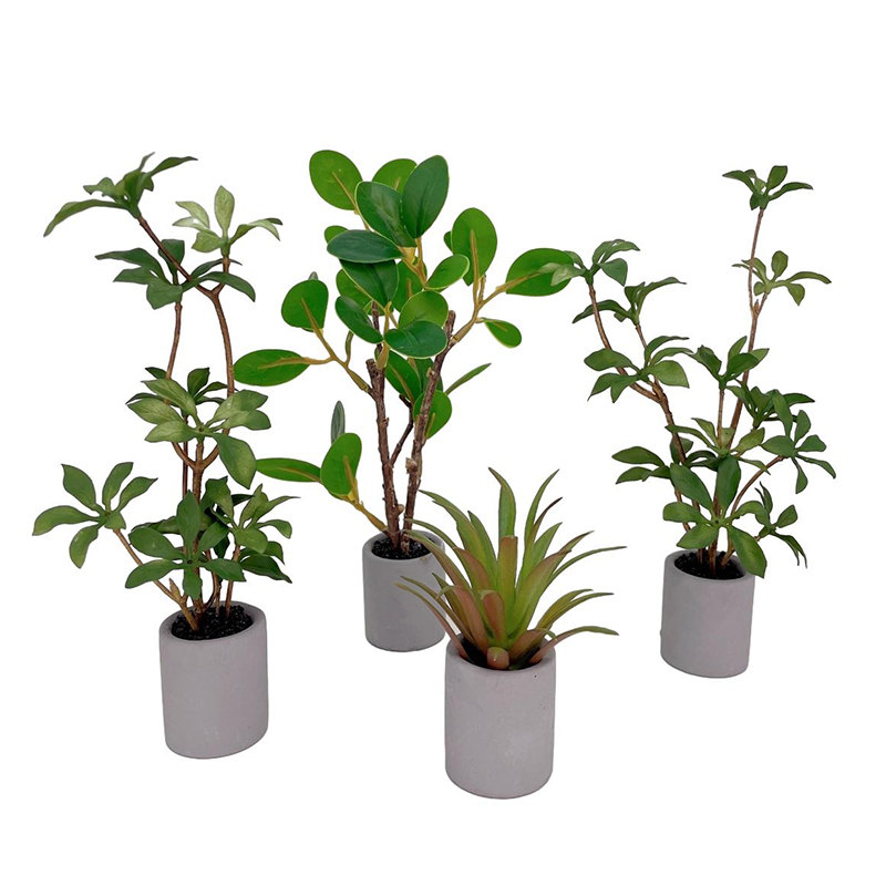 1:6 Dollhouse Miniature Potted - Bonsai Garden Accessories 评论和价格
