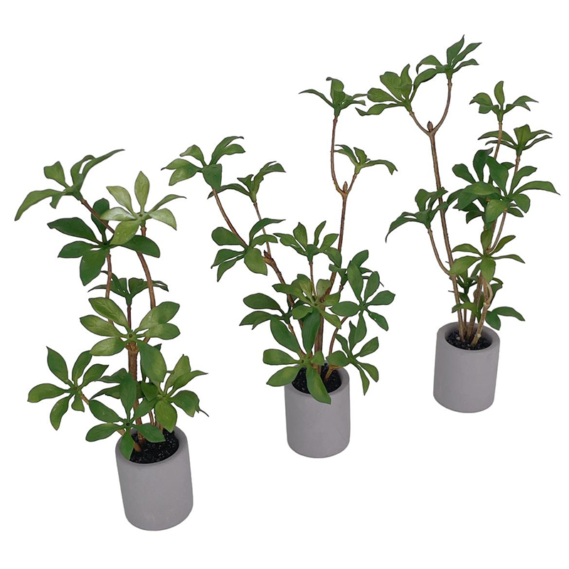 1:6 Dollhouse Miniature Potted - Bonsai Garden Accessories 评论和价格
