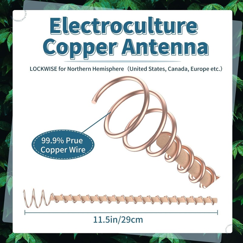 Bonsai Copper Electroculture P - Bonsai Garden Accessories 评论和价格
