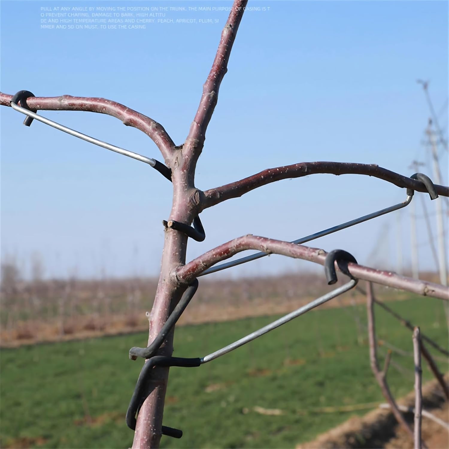 Adjustable Fruit Tree Branch S - Us Bonsai Garden 评论和价格