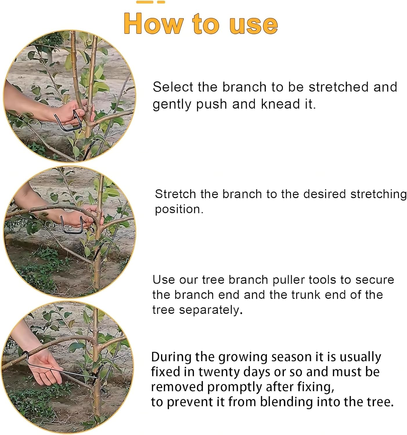 Adjustable Fruit Tree Branch S - Us Bonsai Garden 评论和价格