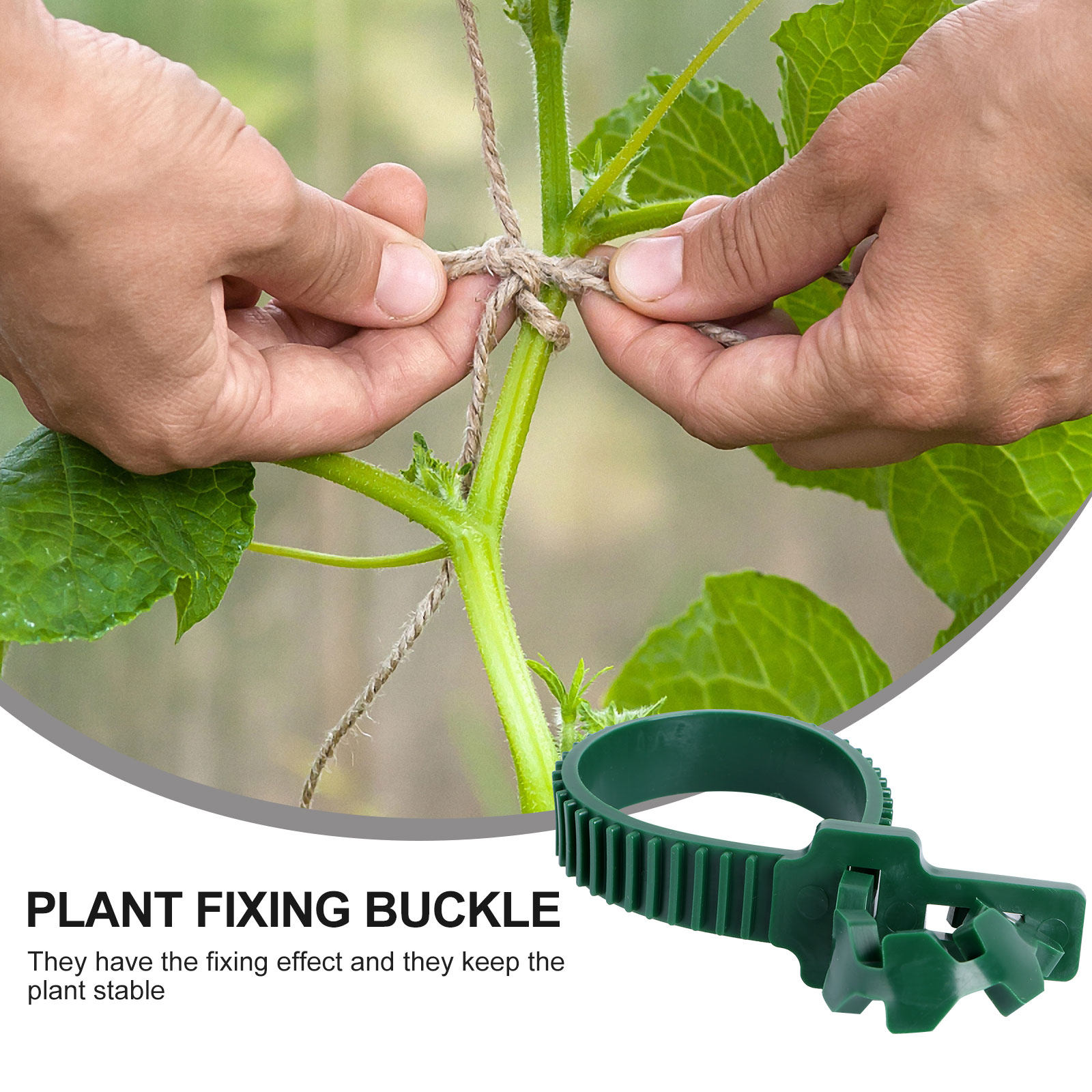 20Pcs Vine Fixing Buckle Garde - Us Bonsai Garden 评论和价格