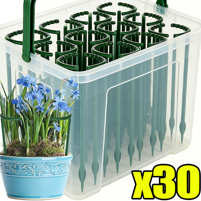 30-1PCS Plastic Plant Support  - Bonsai Garden Accessories 评论和价格