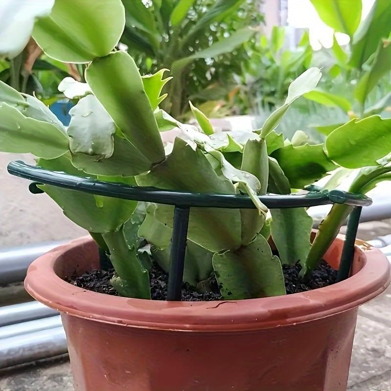 30-1PCS Plastic Plant Support  - Bonsai Garden Accessories 评论和价格