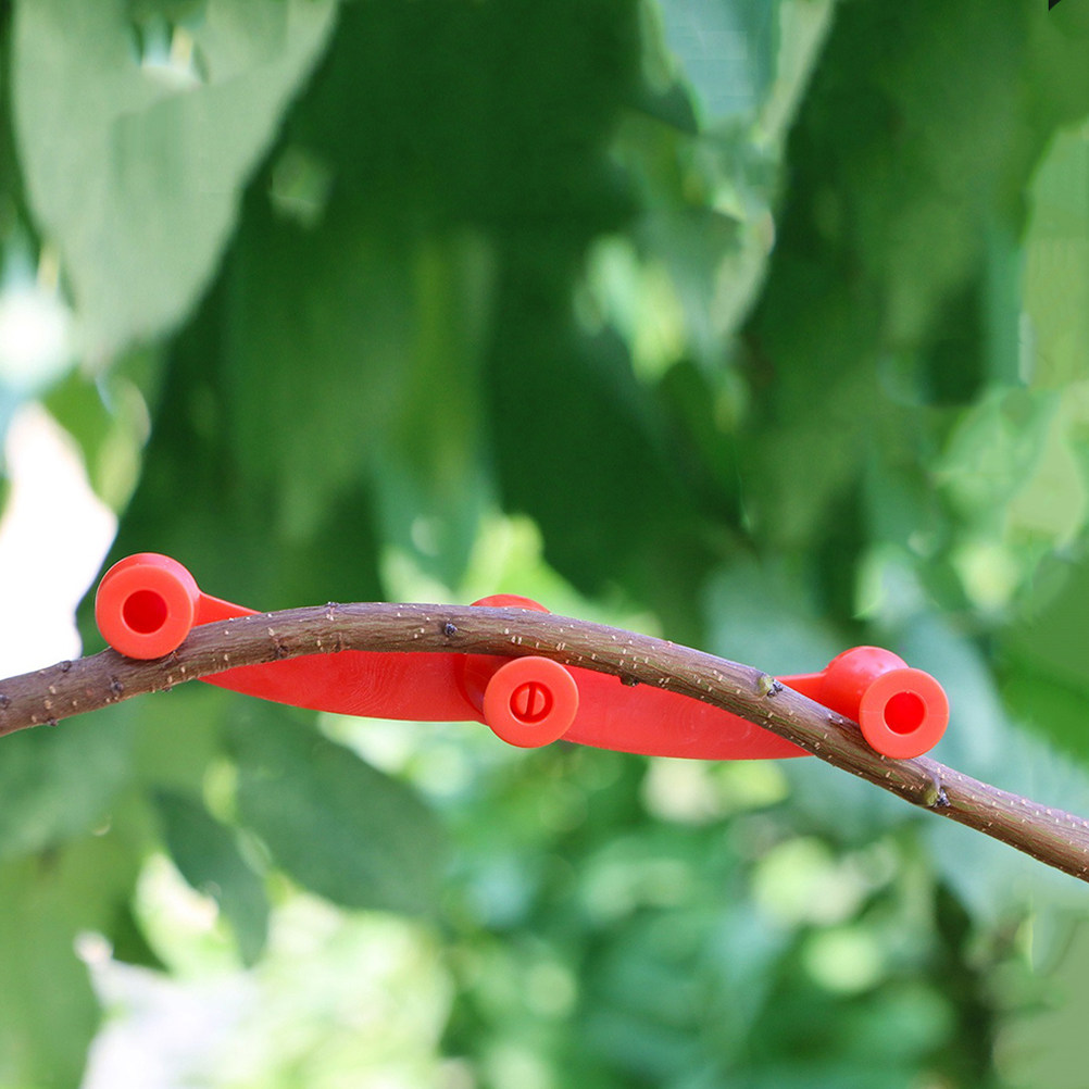 10Pcs Flexible Plant Benders A - Us Bonsai Garden 评论和价格