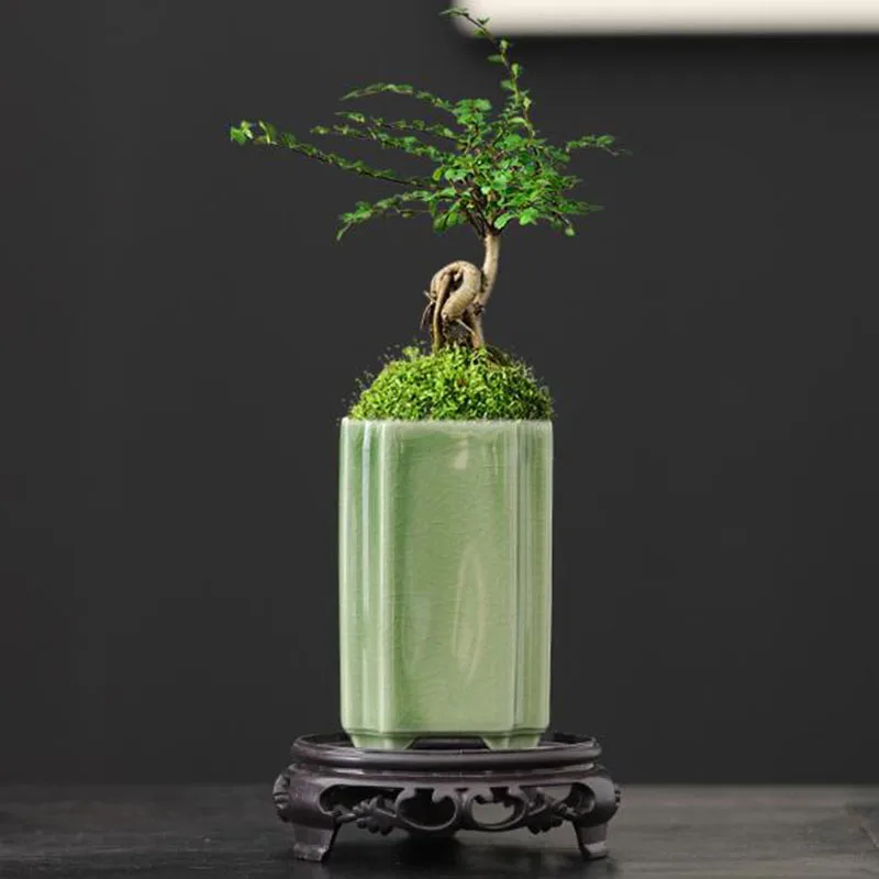 Porcelain Square Celadon Glaze - Bonsai Garden Art 评论和价格