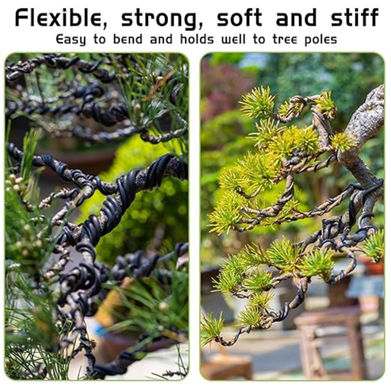 1mm Black Aluminum Bonsai Wire - Bonsai Wire Aluminum 评论和价格
