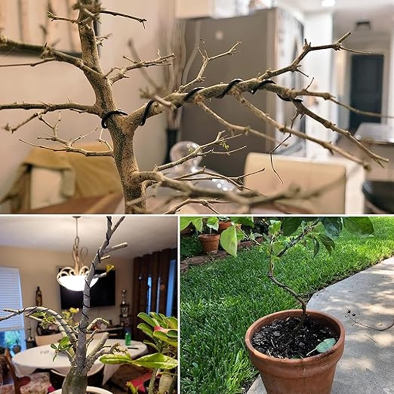 1mm Black Aluminum Bonsai Wire - Bonsai Wire Aluminum 评论和价格