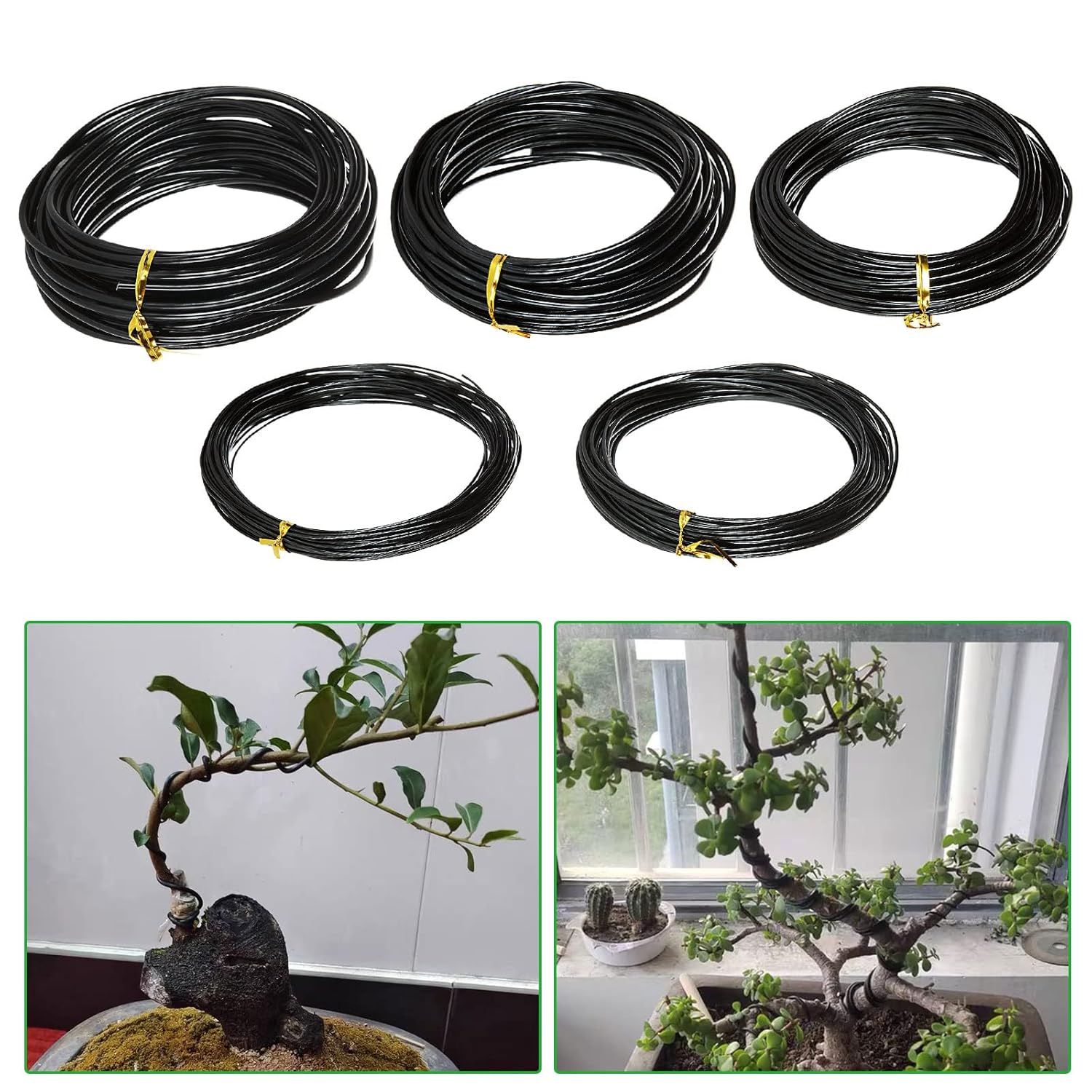 Bonsai Wire Plant Support Anod - Bonsai Wire Aluminum 评论和价格