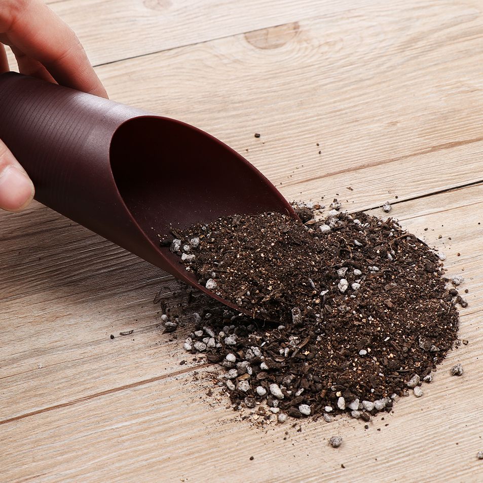 1PC Plastic Soil Shovel Cup Fo - Bonsai Garden Accessories 评论和价格